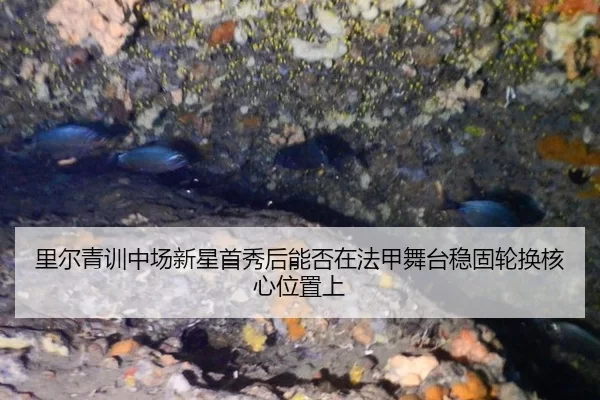 li-er-qing-xun-zhong-chang-xin-xing-shou-xiu-hou-neng-fou-zai-fa-jia-wu-tai-wen-gu-lun-huan-he-xin-wei-zhi-shang-2-974.jpg